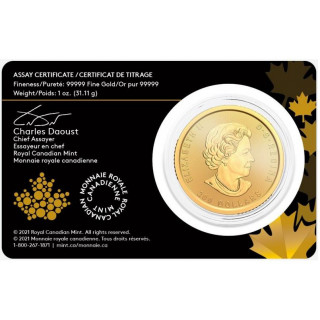 Kupię 2021 Pure Gold Coin Klondike Gold Rush: Panning for Gold