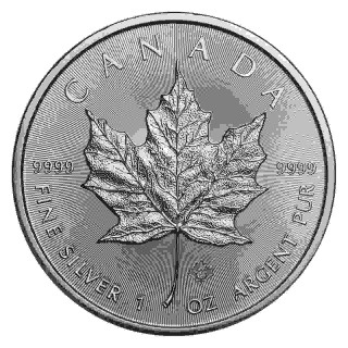 Kanadyjski Liść Klonowy 150 sztuk 1 oz