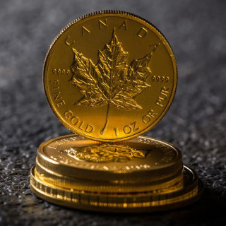 Złoty liść klonowy 1 oz w kapslu z 2020 r - 7 sztuk