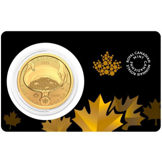 Kupię 2021 Pure Gold Coin Klondike Gold Rush: Panning for Gold